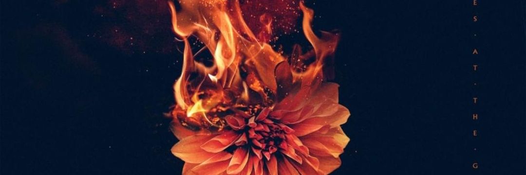 HaroldEdwards6's profile banner image