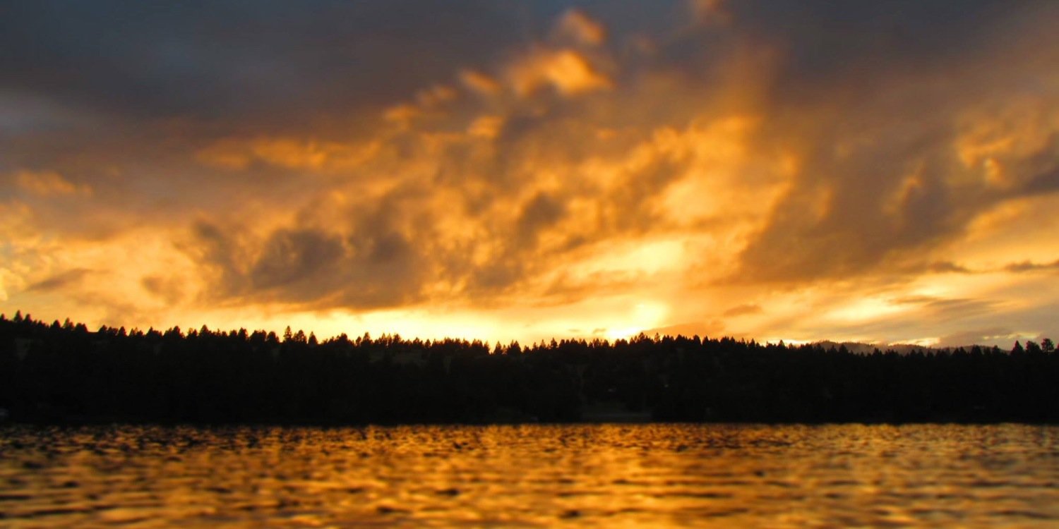 julia_schroder's profile banner image