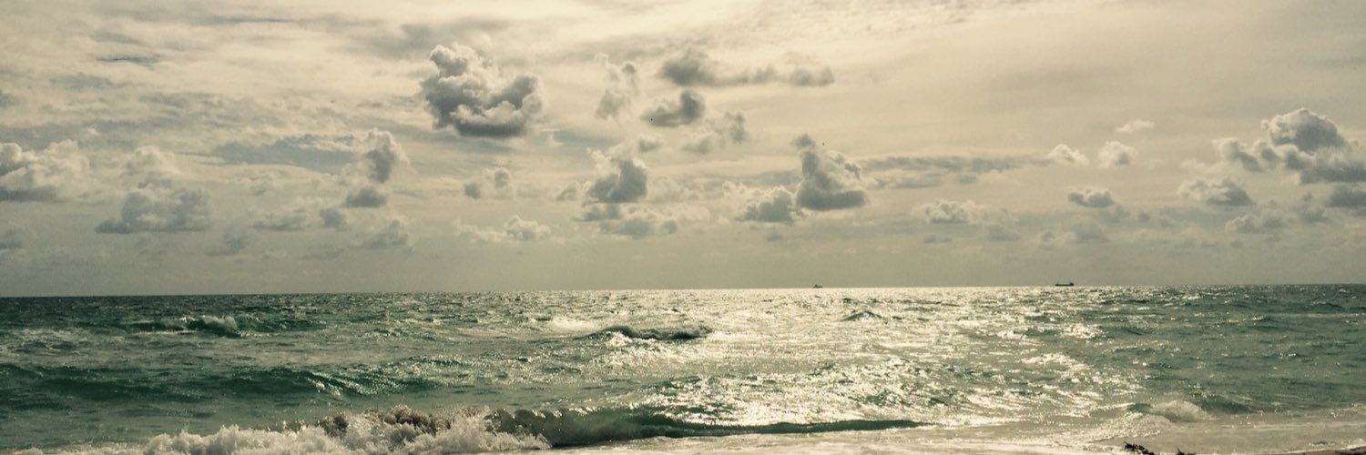Allison_M_Davis's profile banner image