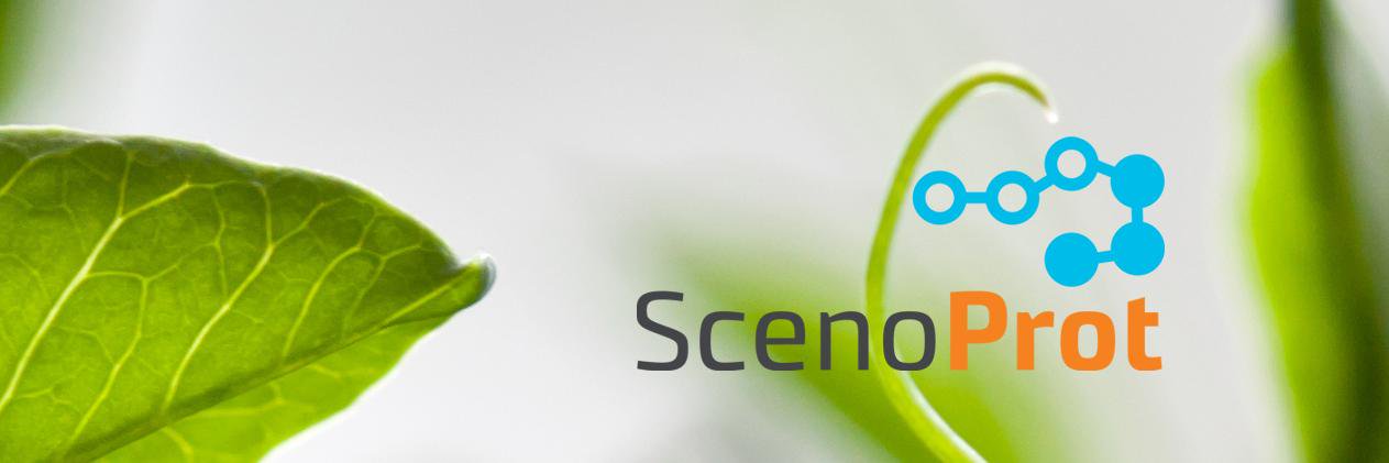 ScenoProt banner