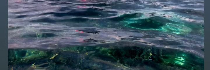 wafi_mariana's profile banner image