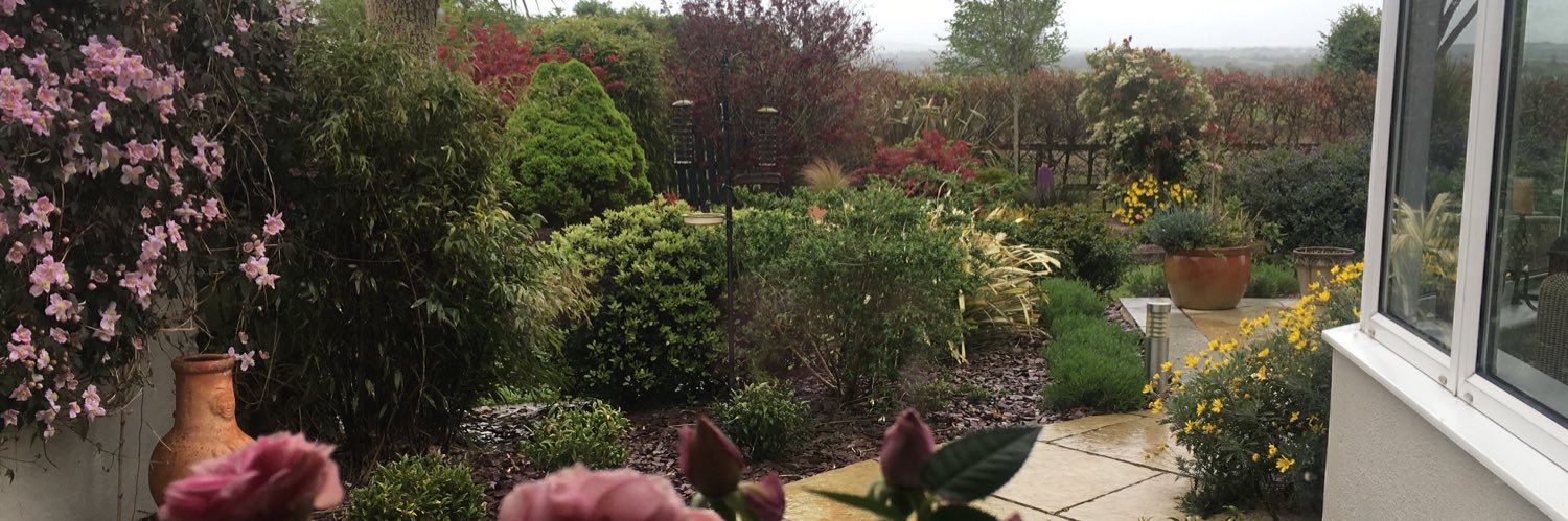 Geraldine Murphy banner