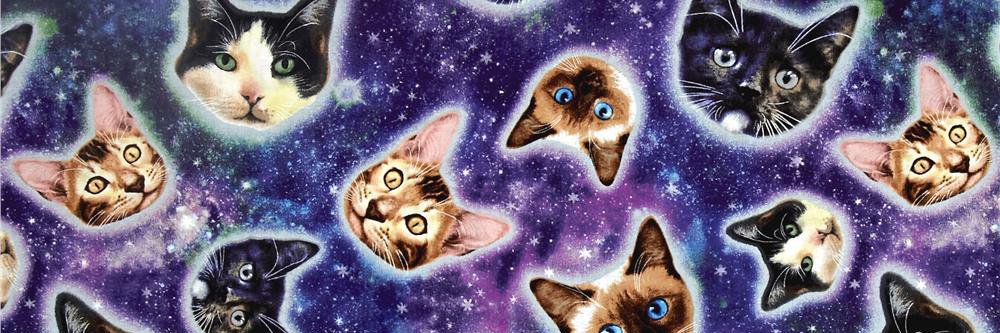 AshleyPrince28's profile banner image