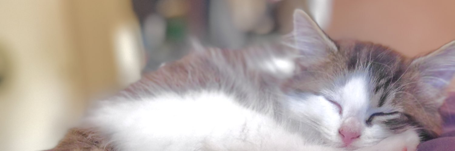 michellerozon's profile banner image