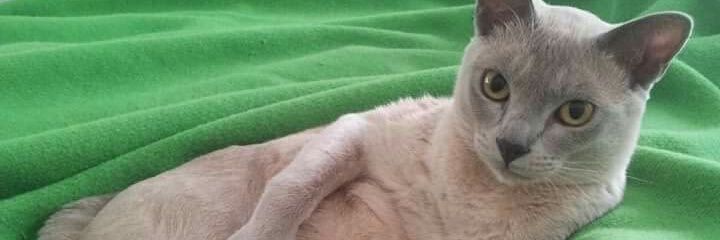 JamesGotTweet's profile banner image