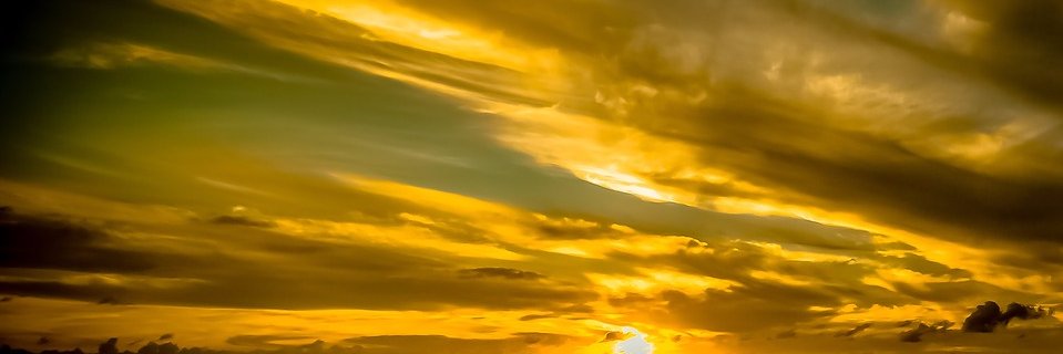 lena_cheng's profile banner image