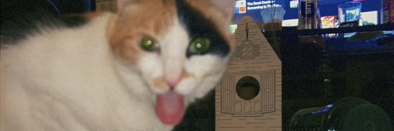 sslantss's profile banner image