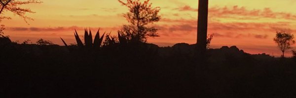 askpraneet Profile Banner