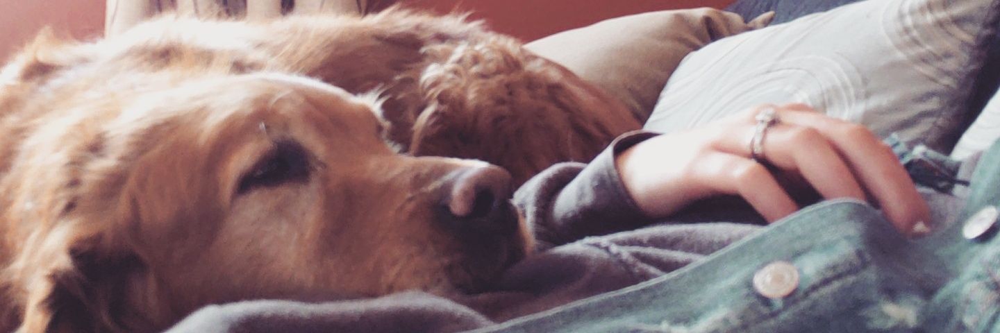 BeccaDub4's profile banner image