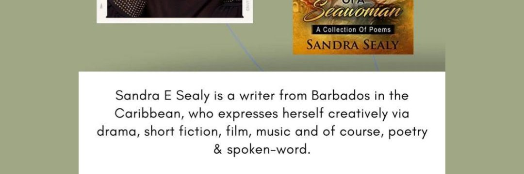 Sandra Sealy aka #seawoman banner