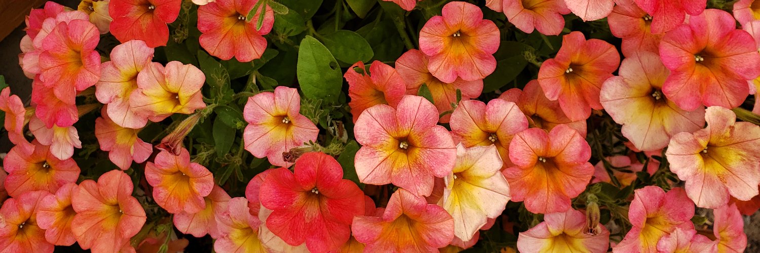 JessicaPearson5's profile banner image