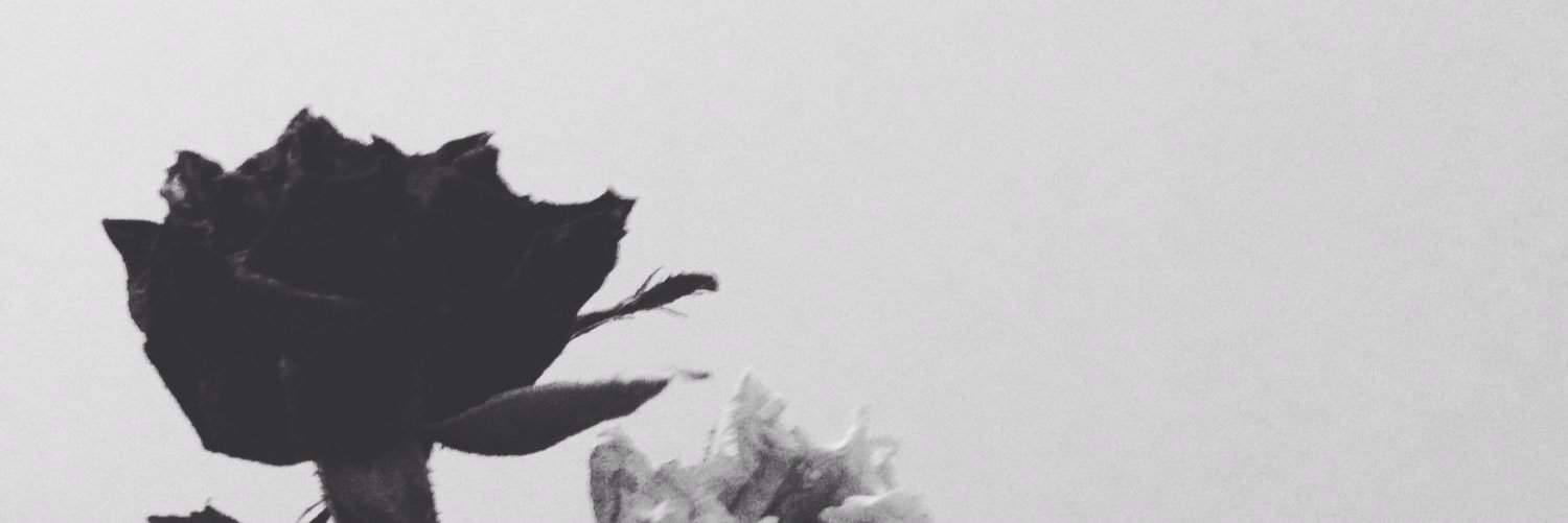 Pompam_BP's profile banner image