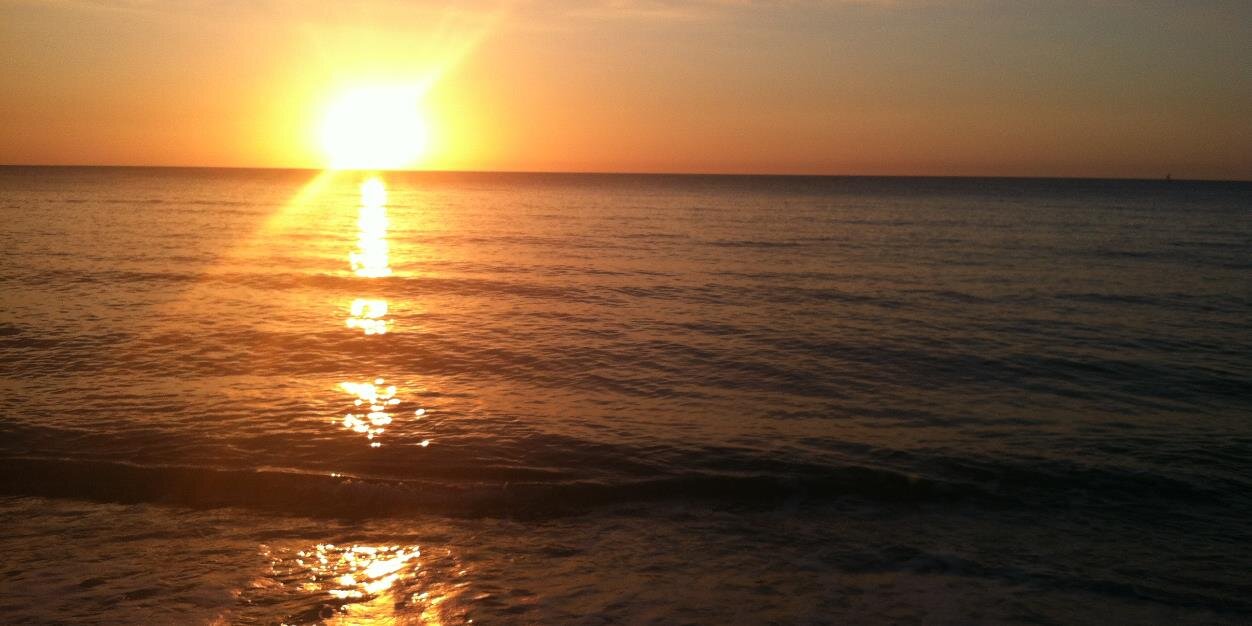 Shannon Coyle banner