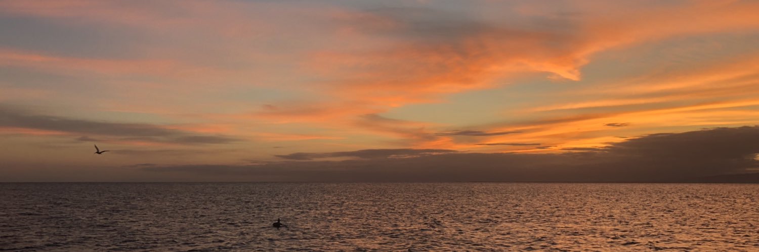 KayViera10's profile banner image