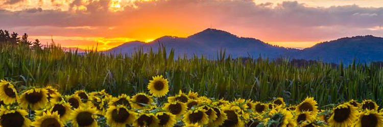 IFYOUSEE__KAYY's profile banner image
