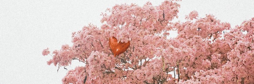 kika_jib's profile banner image