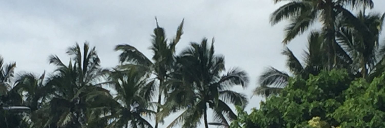 StocksCrypto69's profile banner image
