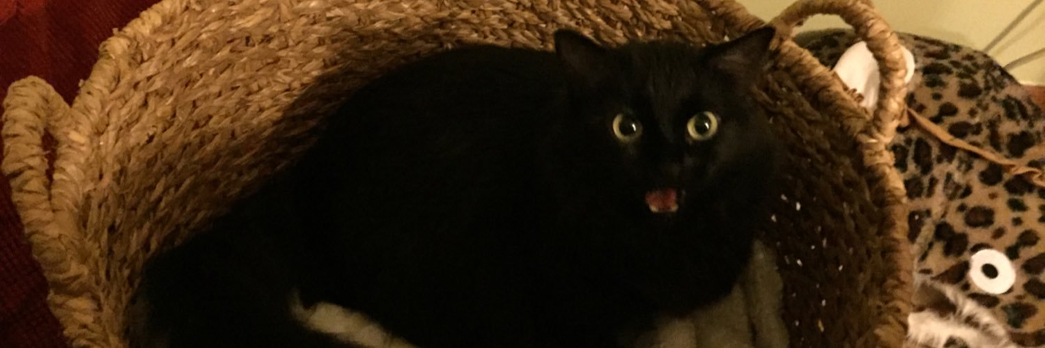sharkatebite's profile banner image