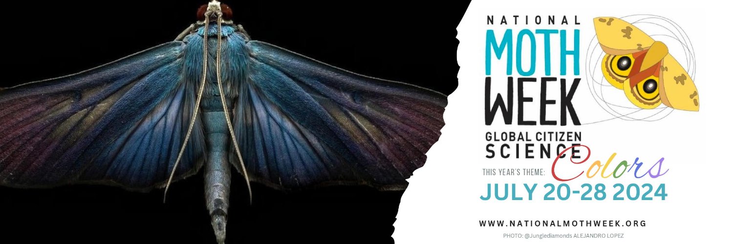 National Moth Week banner