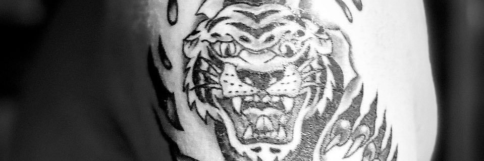 MT6629's profile banner image