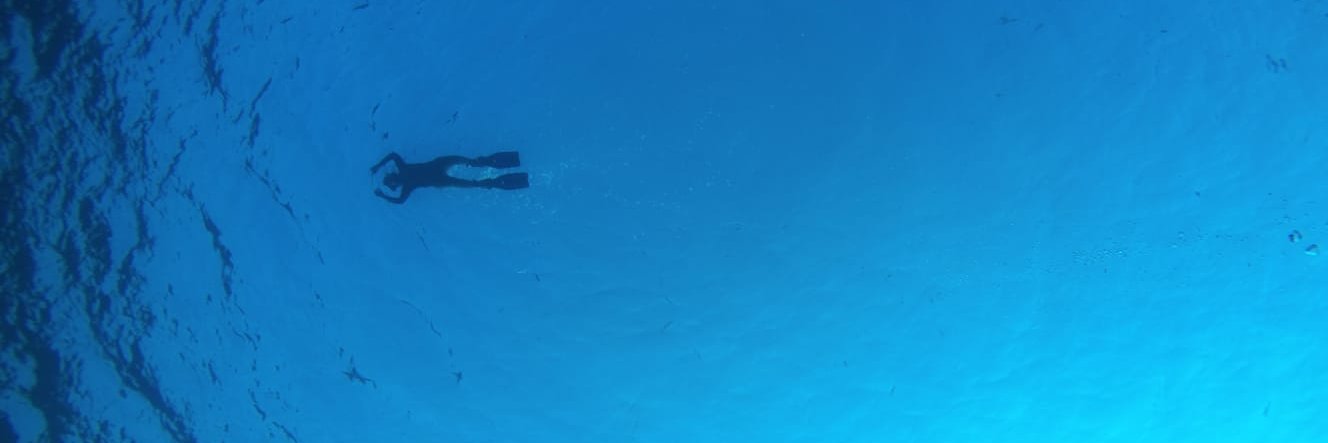 Patrick Driguez banner