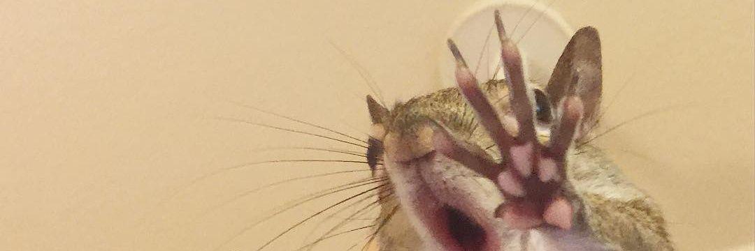 him_herr's profile banner image