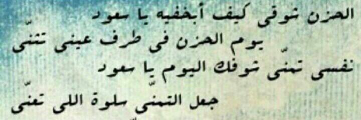 l_HASNA_l's profile banner image