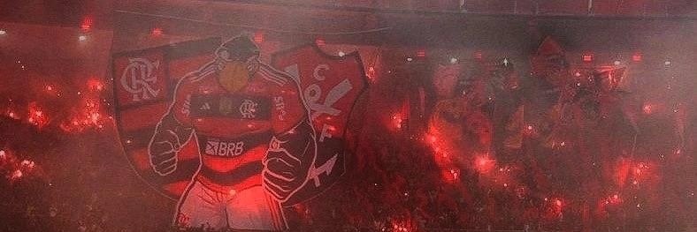 Vinicius banner