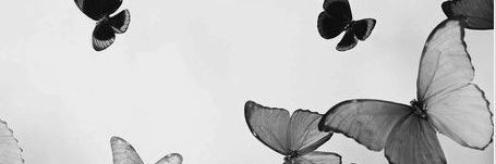 eirmntl's profile banner image