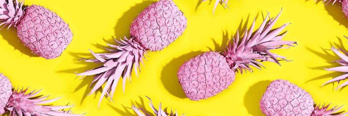 Shannon Phierce banner