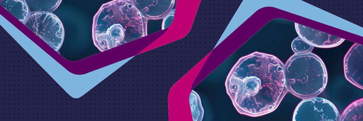 Medicines Discovery Catapult banner