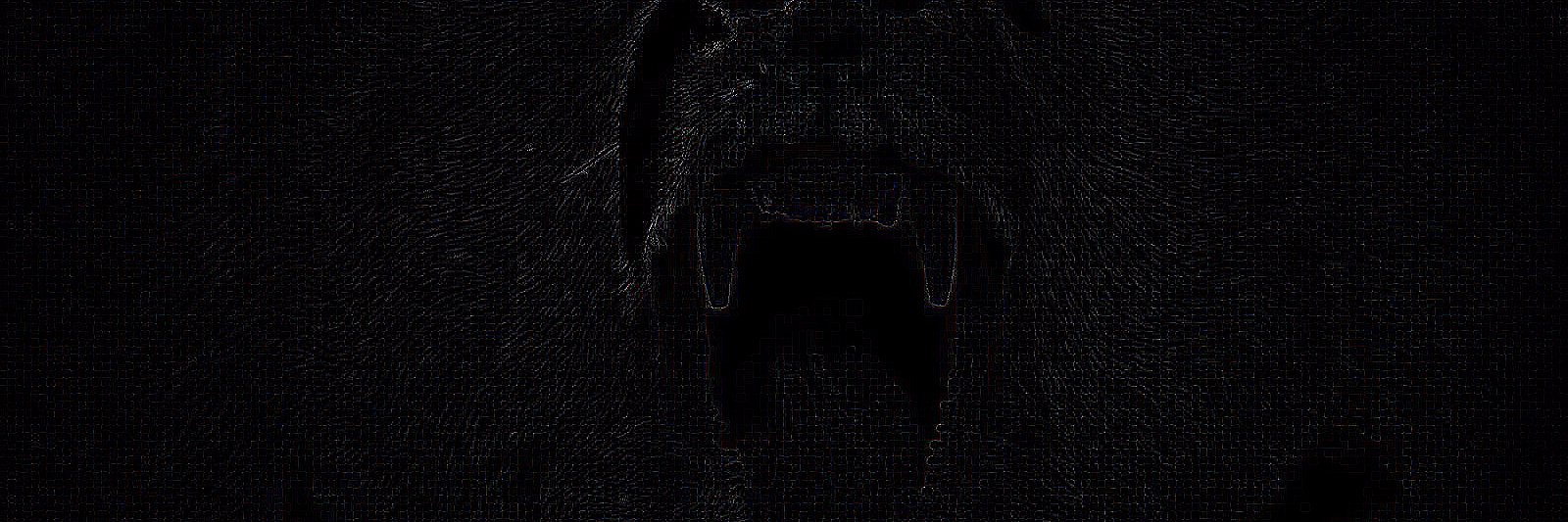 BearddBear's profile banner image