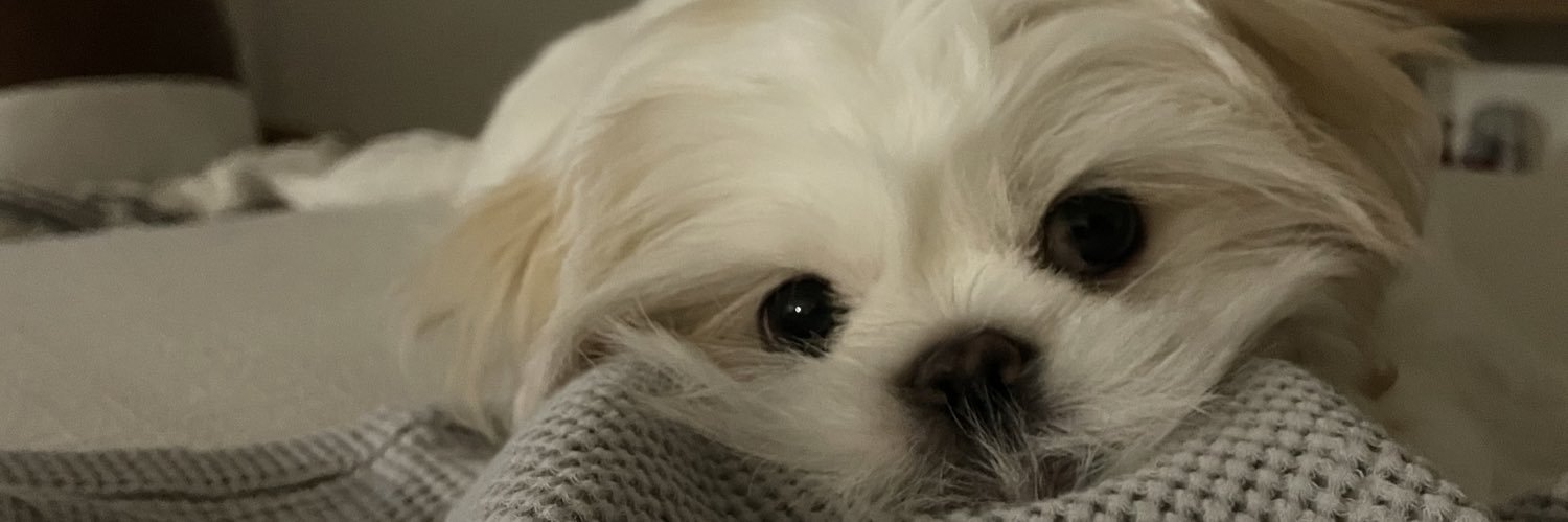 agyadiggg's profile banner image