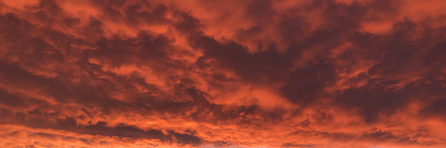 beanjamin's profile banner image