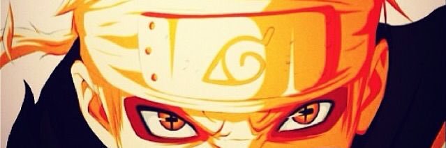 🦊 || Ging Freecss banner