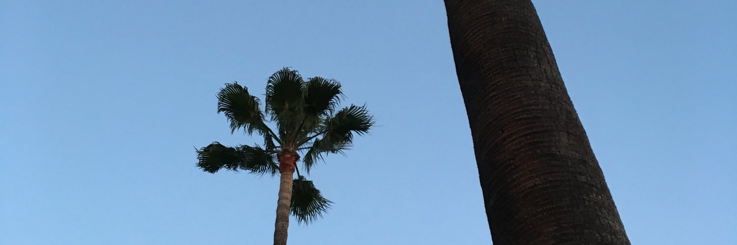 koolcameron's profile banner image
