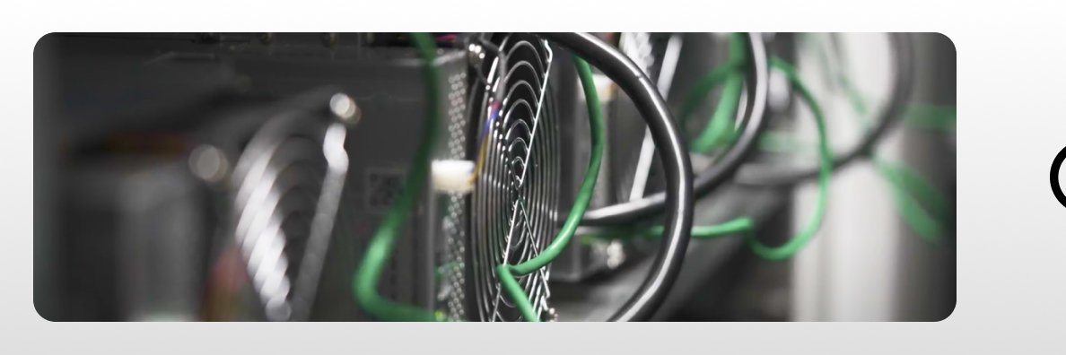 Cameron L Morrissey banner