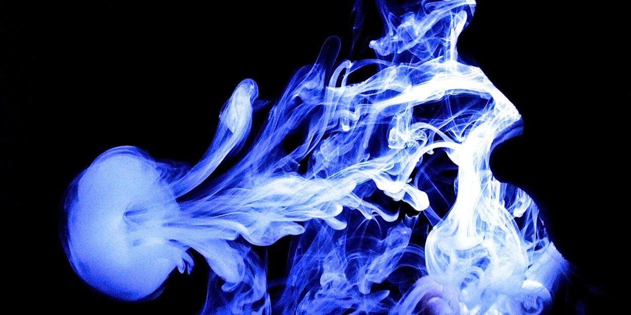 Vajohnny_2's profile banner image