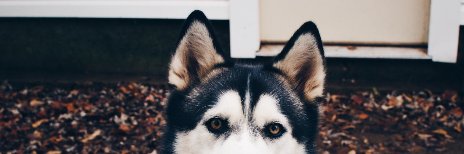 BASimmons15's profile banner image