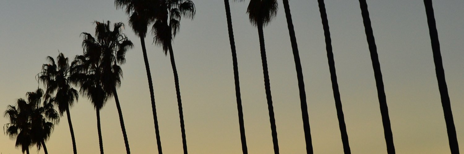 TautivaC's profile banner image