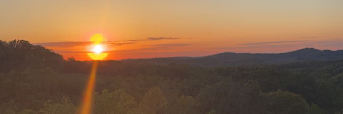 sydlinv1's profile banner image