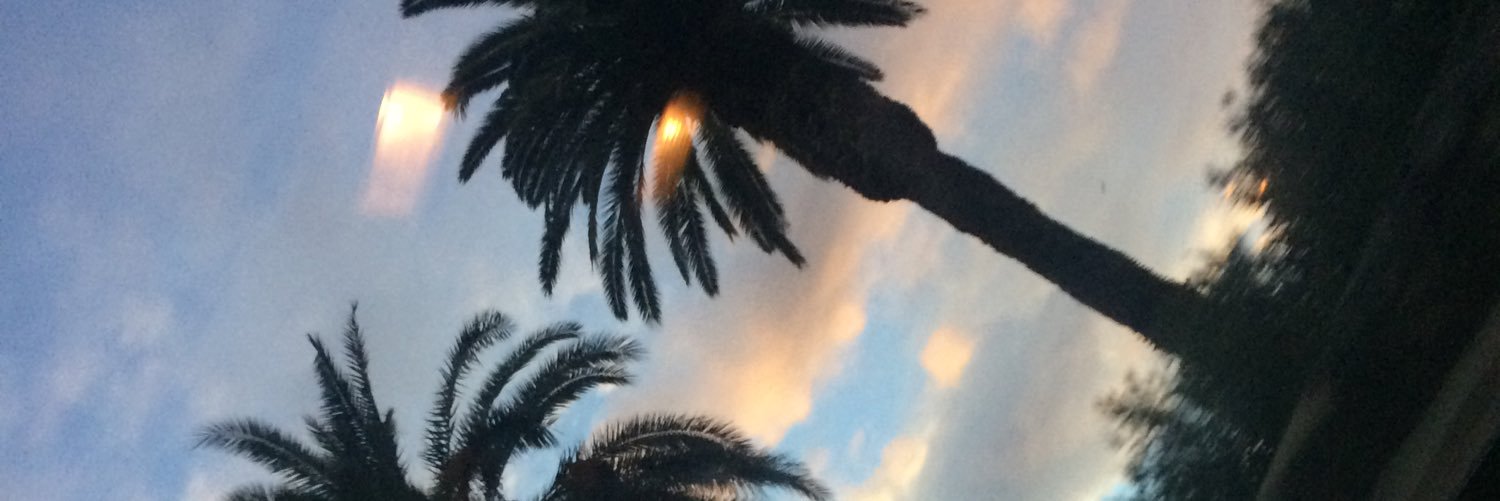 LyssMac6's profile banner image