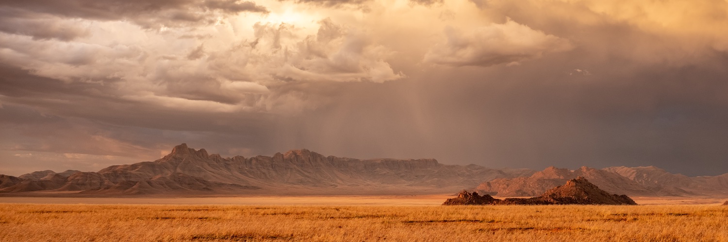 Andrew Thompson banner