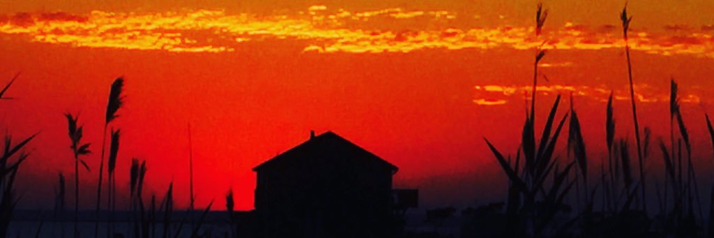 pattigurney's profile banner image