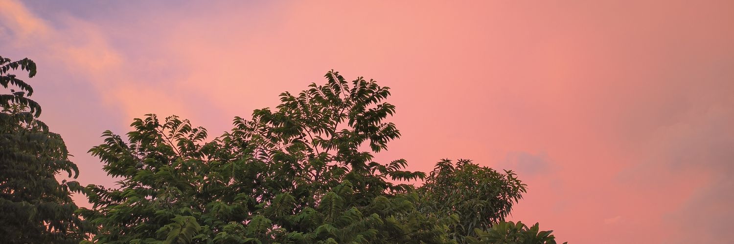 earlanthonym's profile banner image