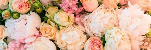 jonnahbella's profile banner image