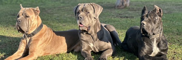 klacy7six Profile Banner