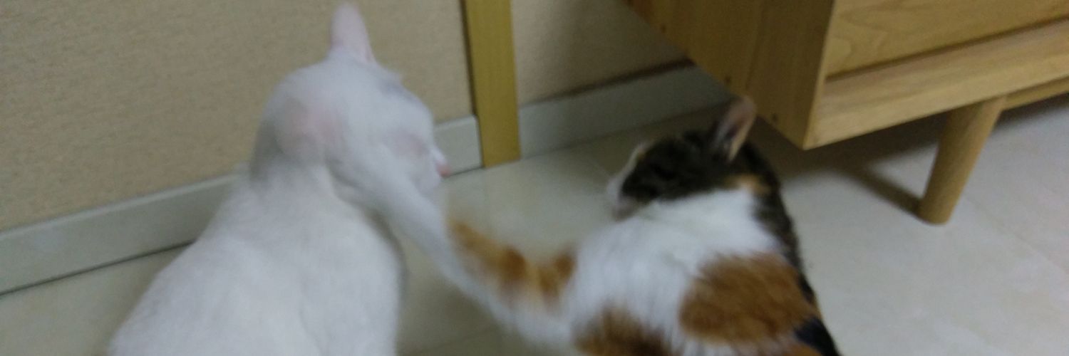 qianmutao's profile banner image