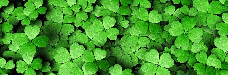 Máire Devine banner