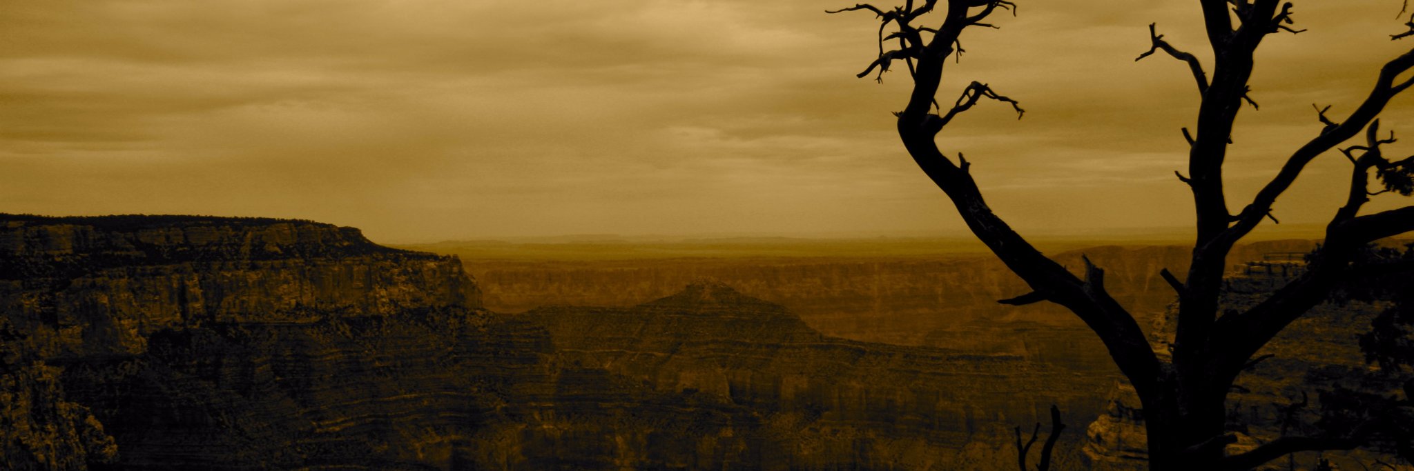 lukehmosley's profile banner image